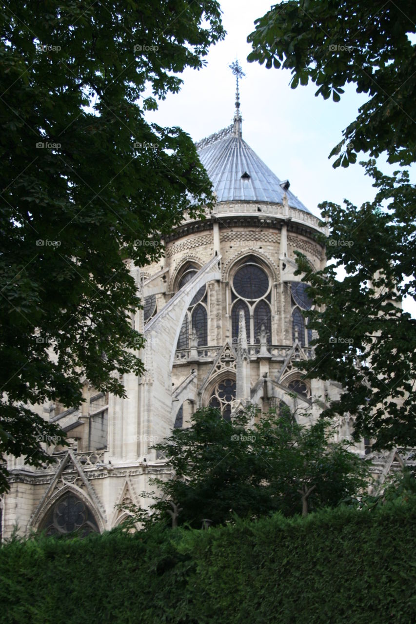 view to the Notre dam