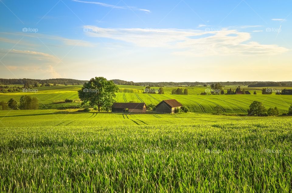 Bautiful color landscape