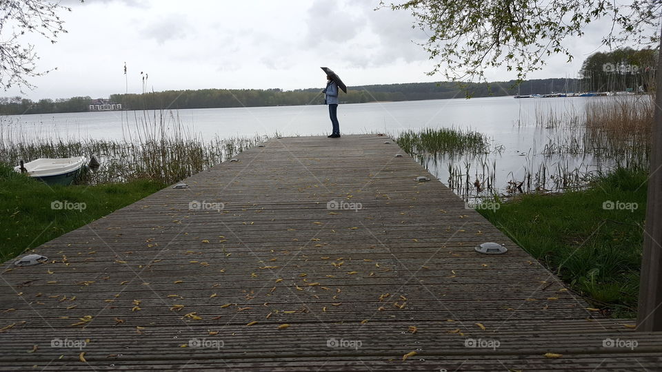 Water, Lake, Nature, River, Tree