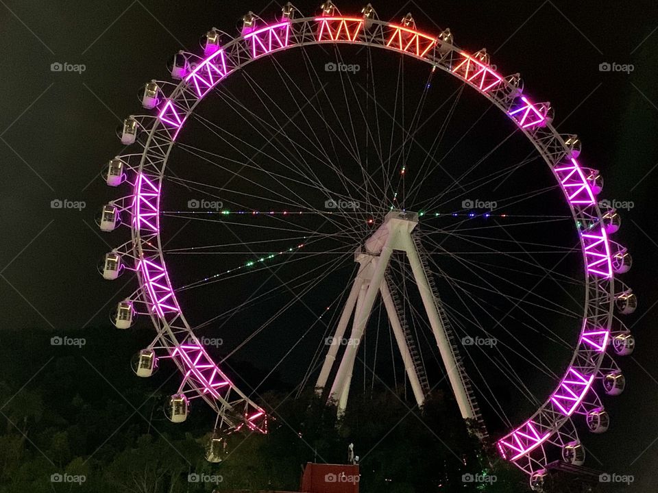 Pink Ferris wheel