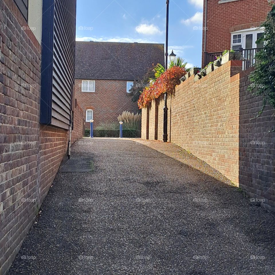 side street, floor, wall and house with rust creeper plant and sun and shadow