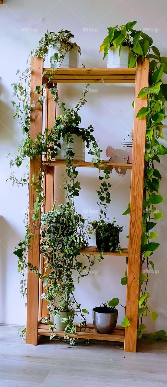 Geometric shape || Rectangular Stand || Rectangle Tree Pot Stand