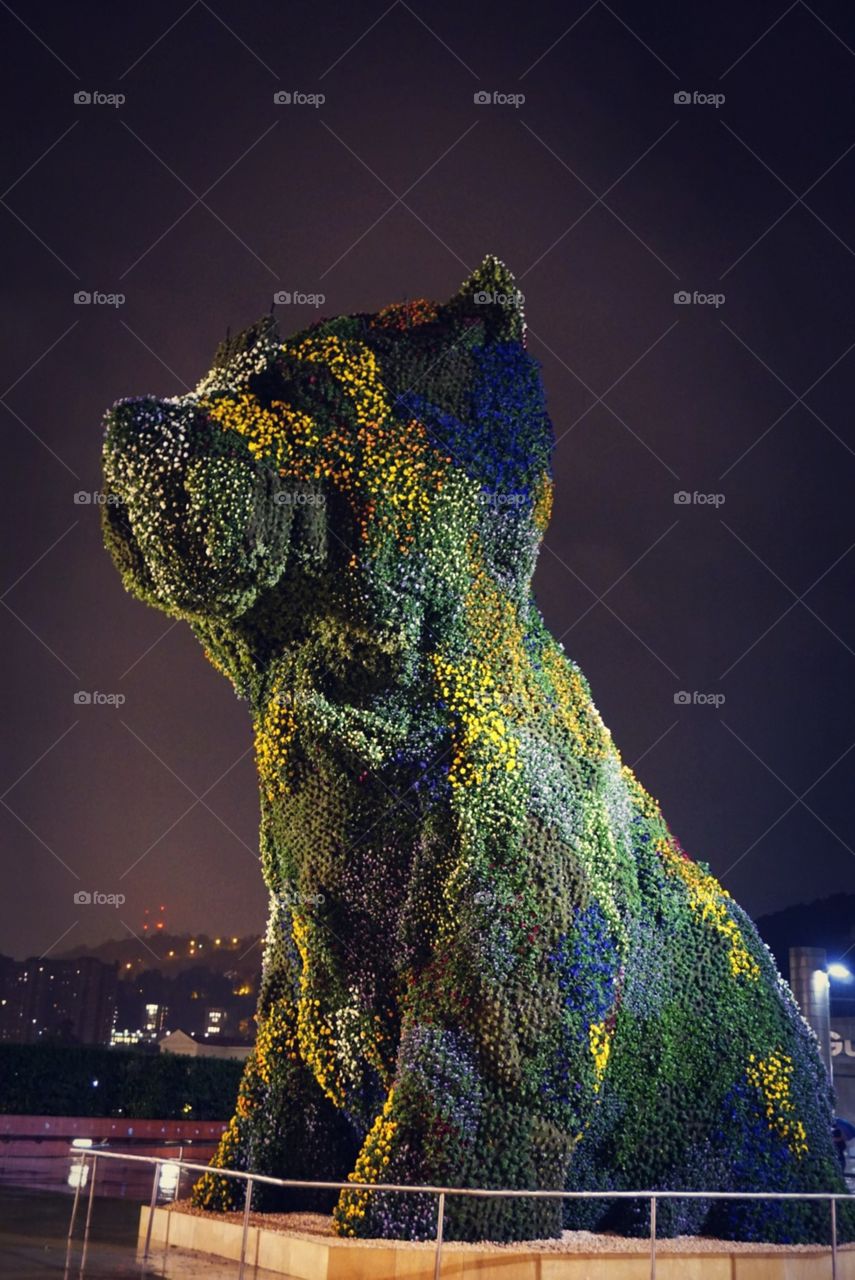 Flowers#dog#art#colors#night#amazing#sky#fog#rain