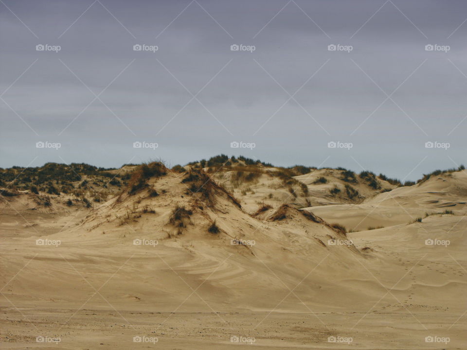 Sand dunes with some vegetation