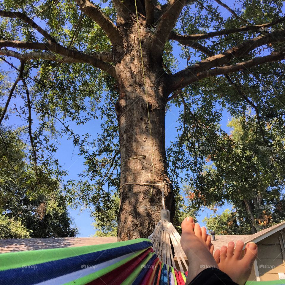 In a hammock under a tree 