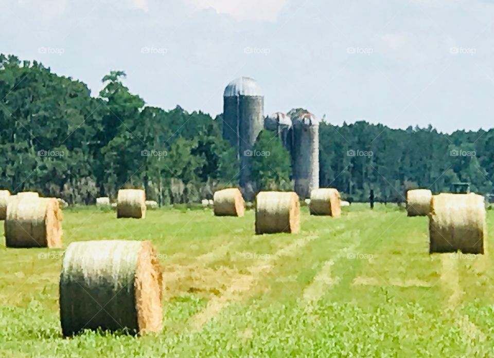 Calmness in the country exhibited through silos and rolls of hay gently resting on the green grass of South Georgia. 
