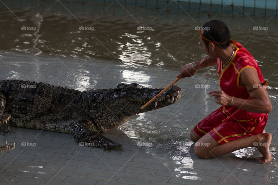 People, Water, Crocodile, Reptile, River