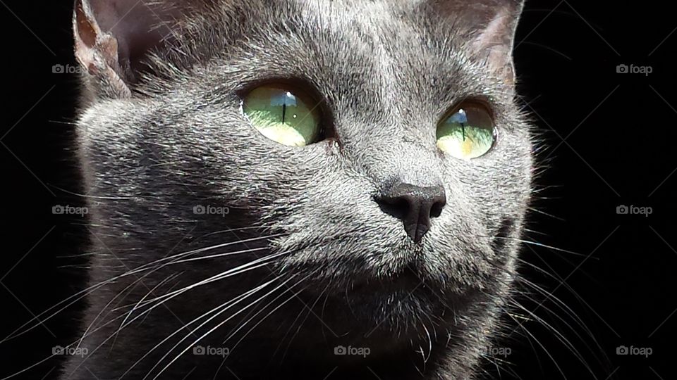 Clearly beautiful sunbather