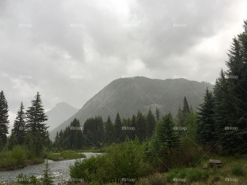 Mountain stream during a rain storm