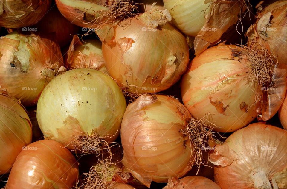 Onions at the market in Antwerp.