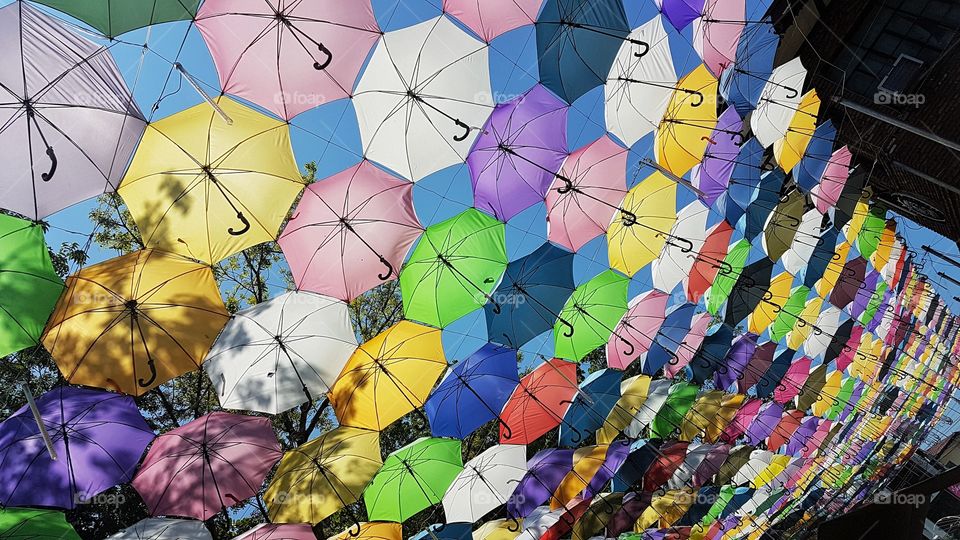 floating umbrellas in the philippines