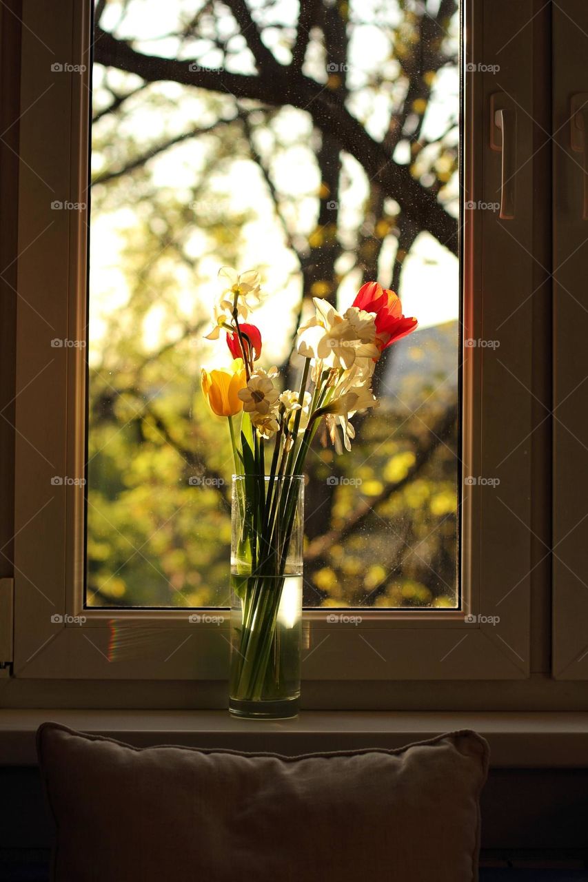 Tulips and daffodils in a vase