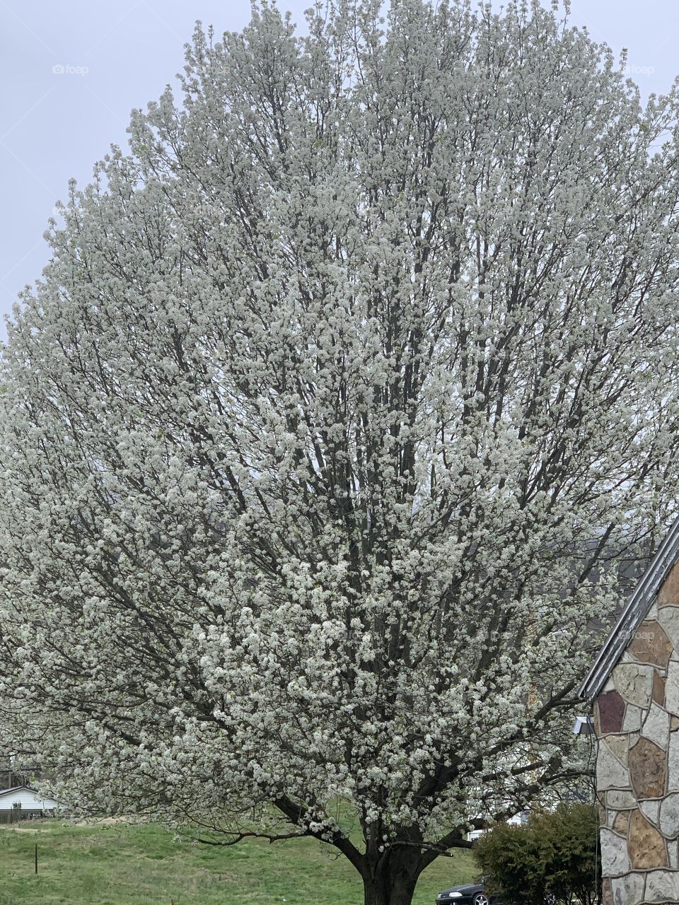 Spring time is coming 