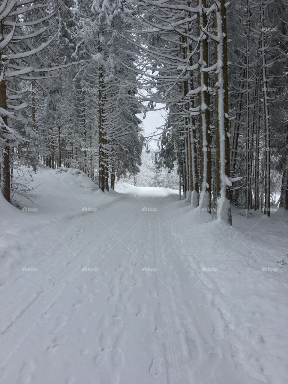 All snow as far as you can see.