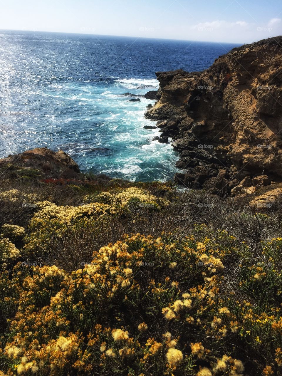 Point Lobos October