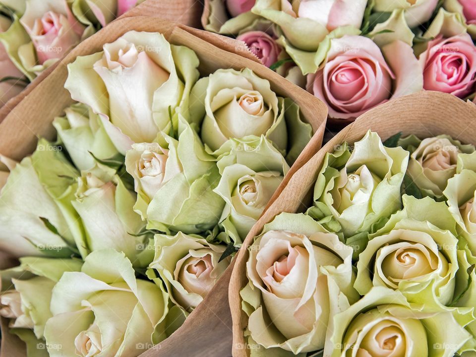 Bouquets of pink roses wrapped in brown paper