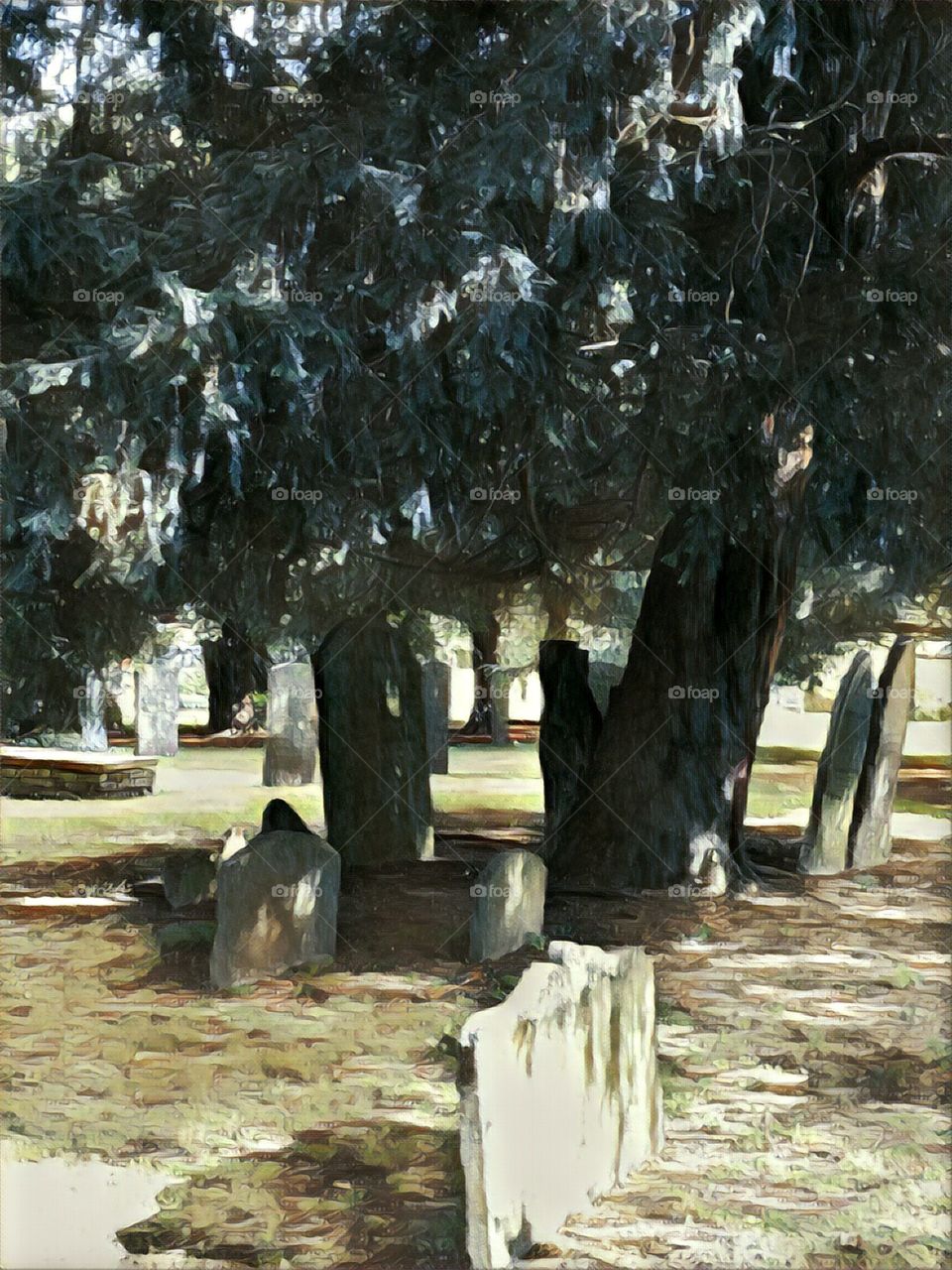 Graveyard in the trees