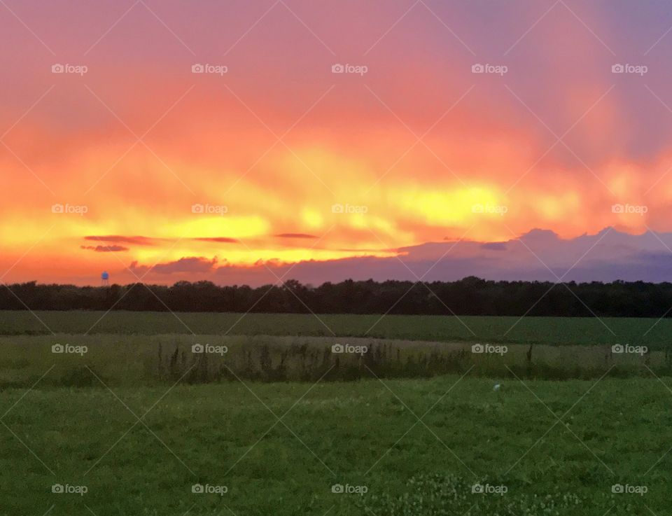Farmland Sunset