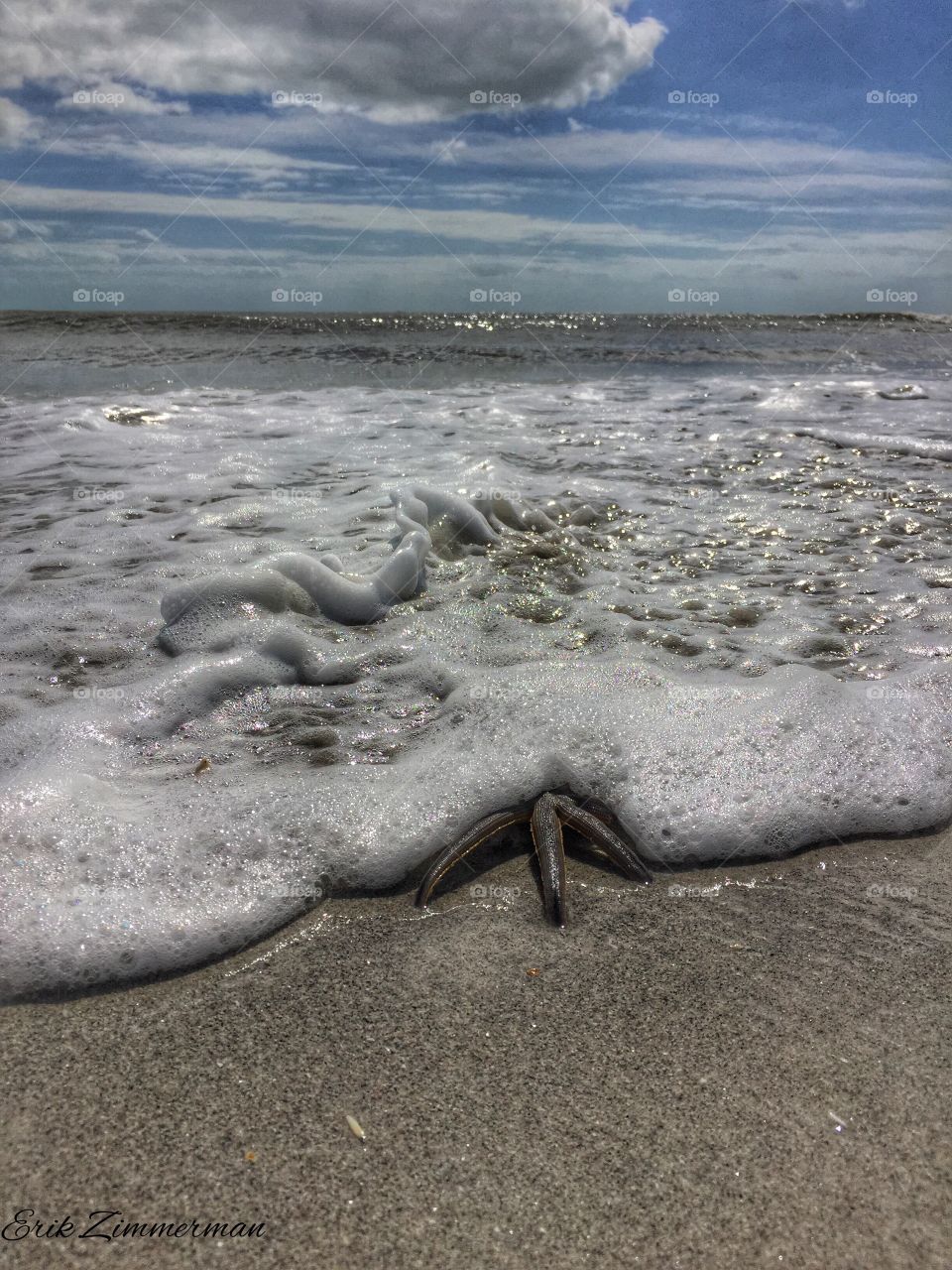 Starfish reaching out from the ocean blanket.. 