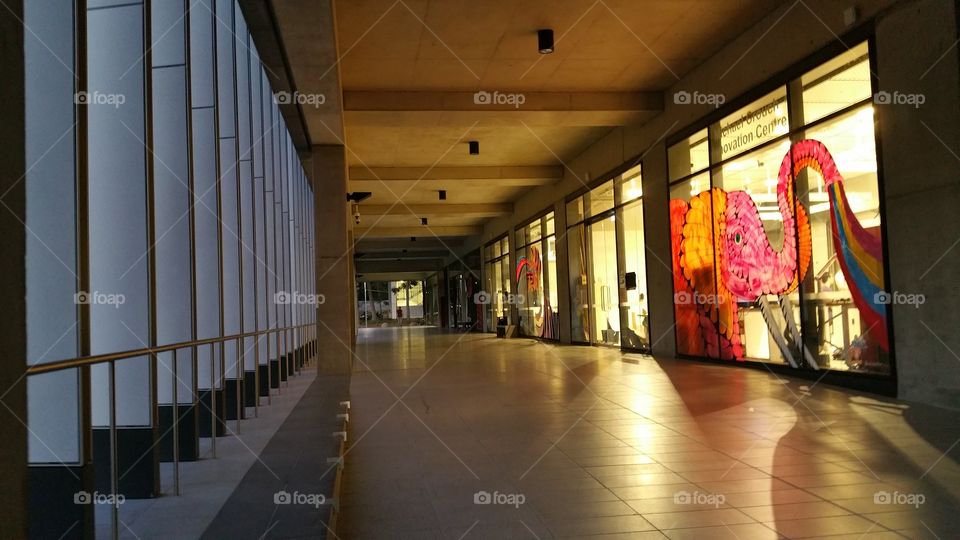 The Michael Crouch Innovation Center at the University of New South Wales, Sydney, Australia. A late afternoon image.