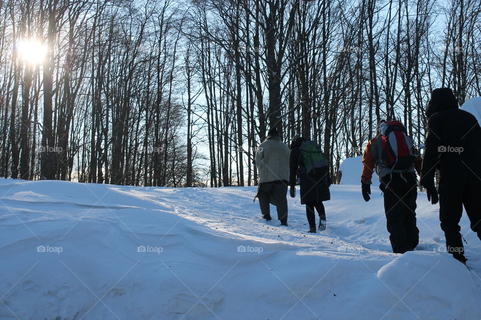 Snow. Trip. Travel. Ukraine. Transkarpathia