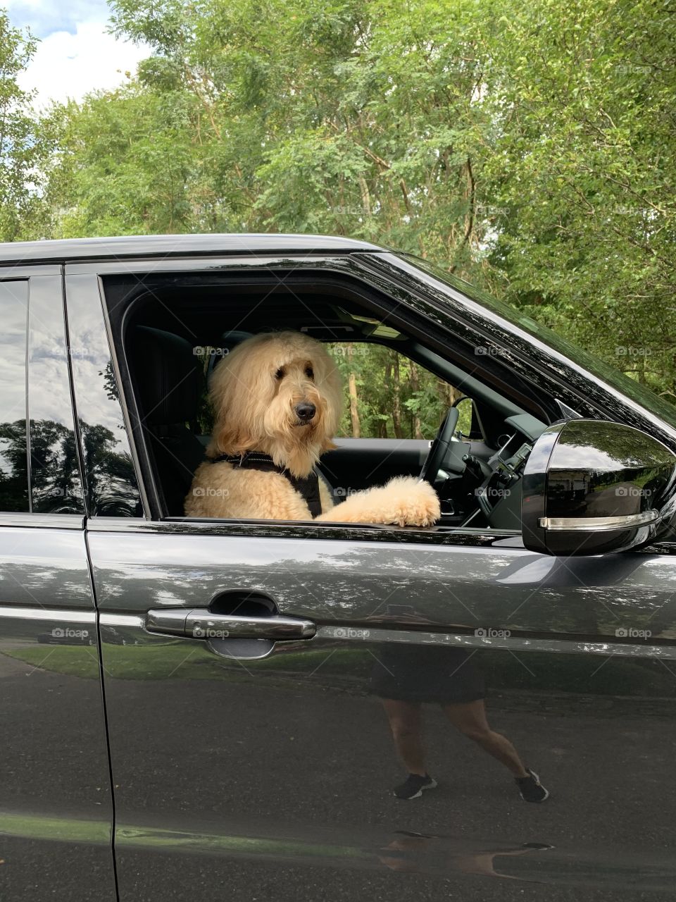 How I roll. Range Rover Sport