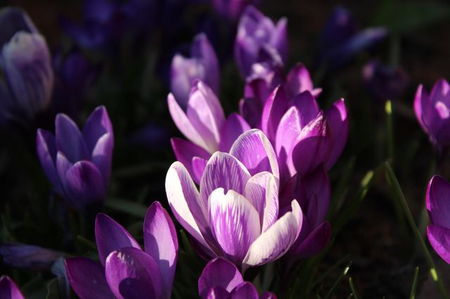 spring is comming!!