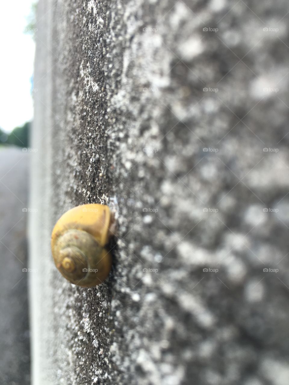 Snail grip!