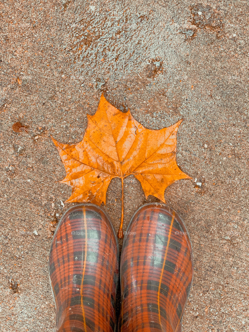 Rainboots and autumn leaf