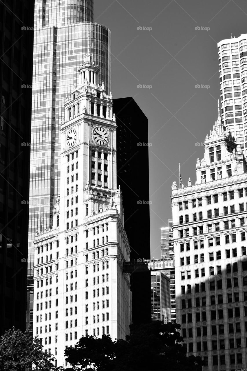 Chicago skyscrapers 