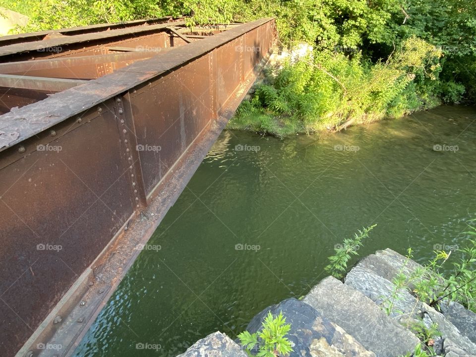 History comes to life 