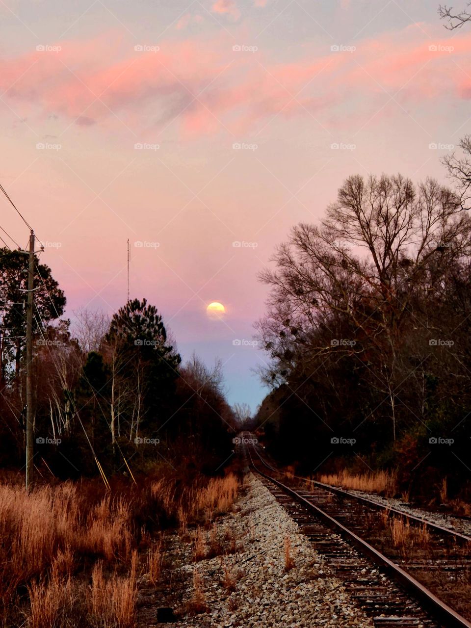 moonrise over tracks