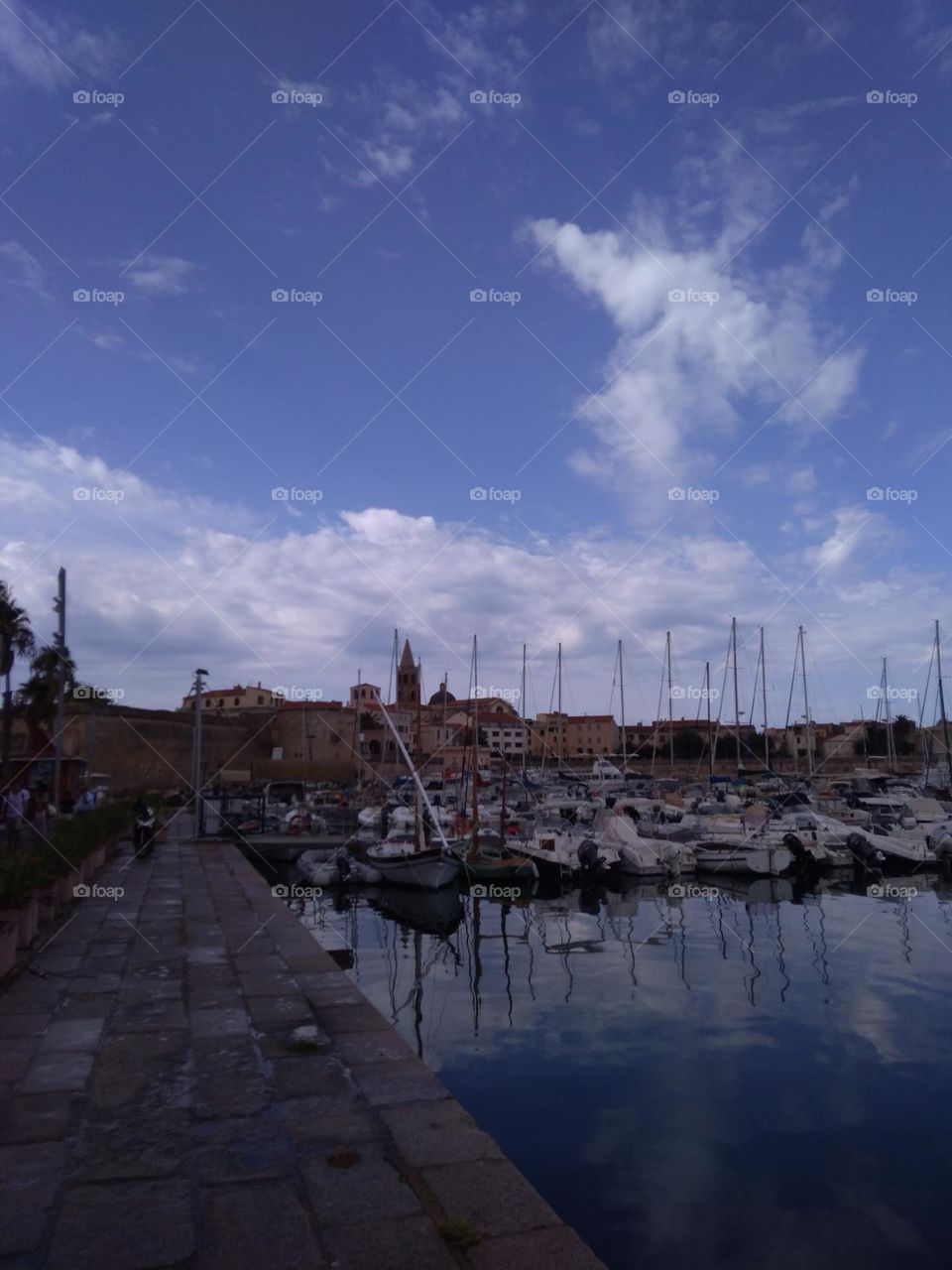 Editors' Choice: Photo of the Week