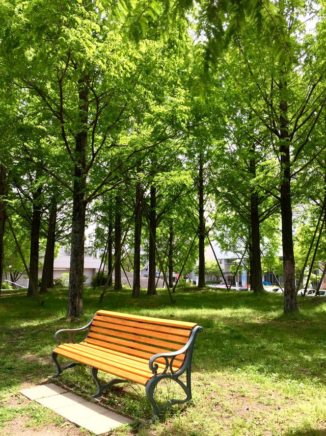 bright season