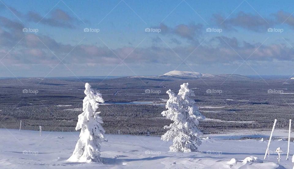 Winter in Lapland