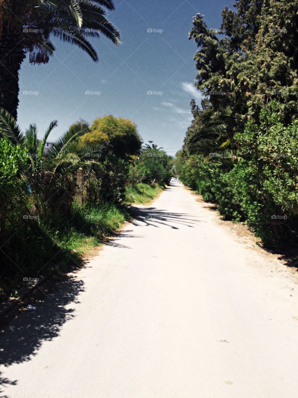 my road. a road in my university