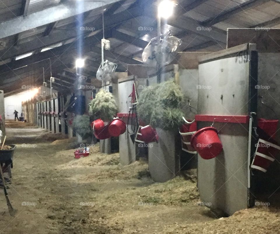 Delta Downs on the backside