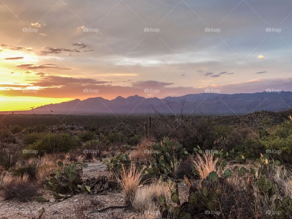 Desert Mountain Landscape - Sunset 