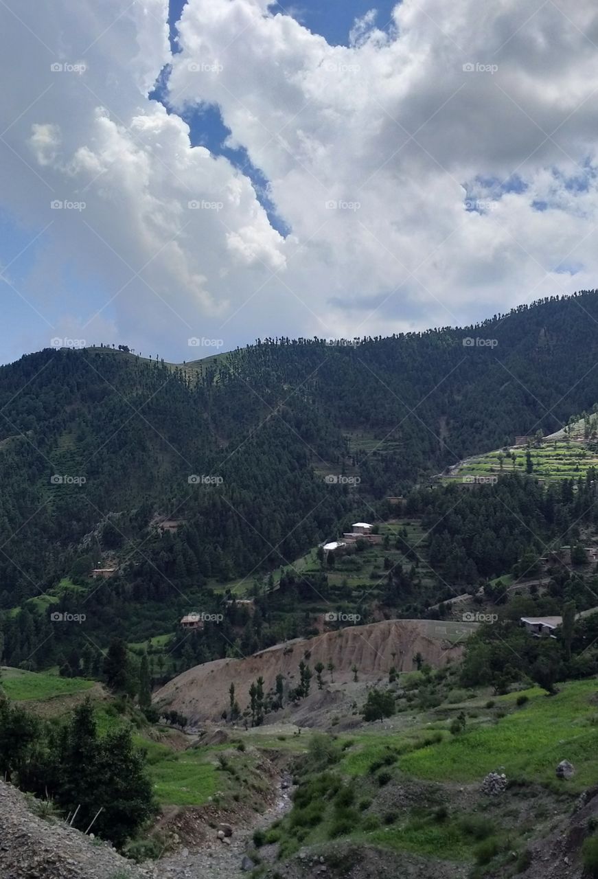 green walley and mountain