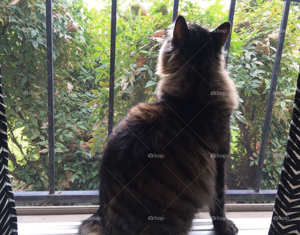 Dreams of the Outdoors 3