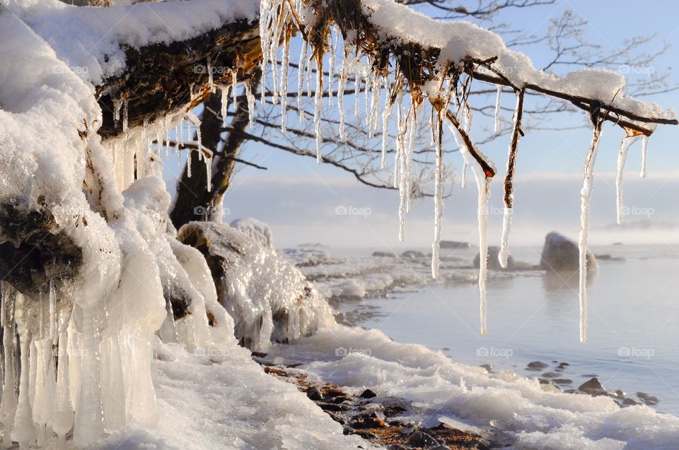 Icicles on frozen branch in winter