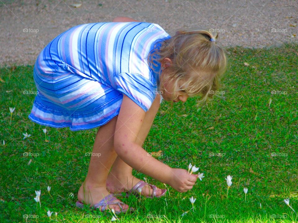 Picking Flowers