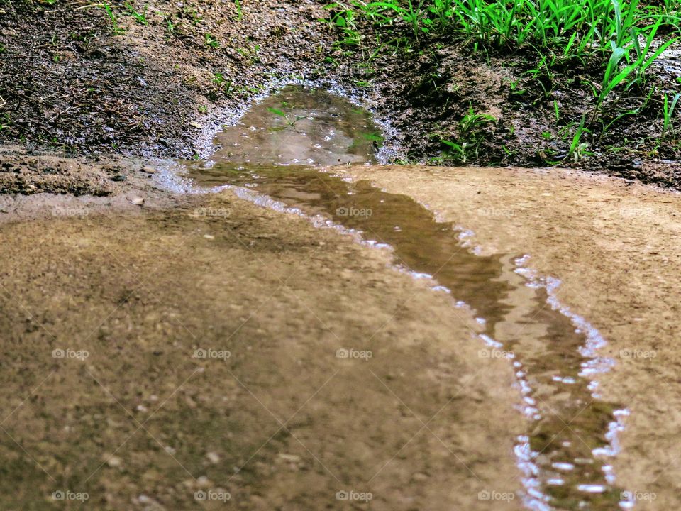 rain water collecting in a puddle