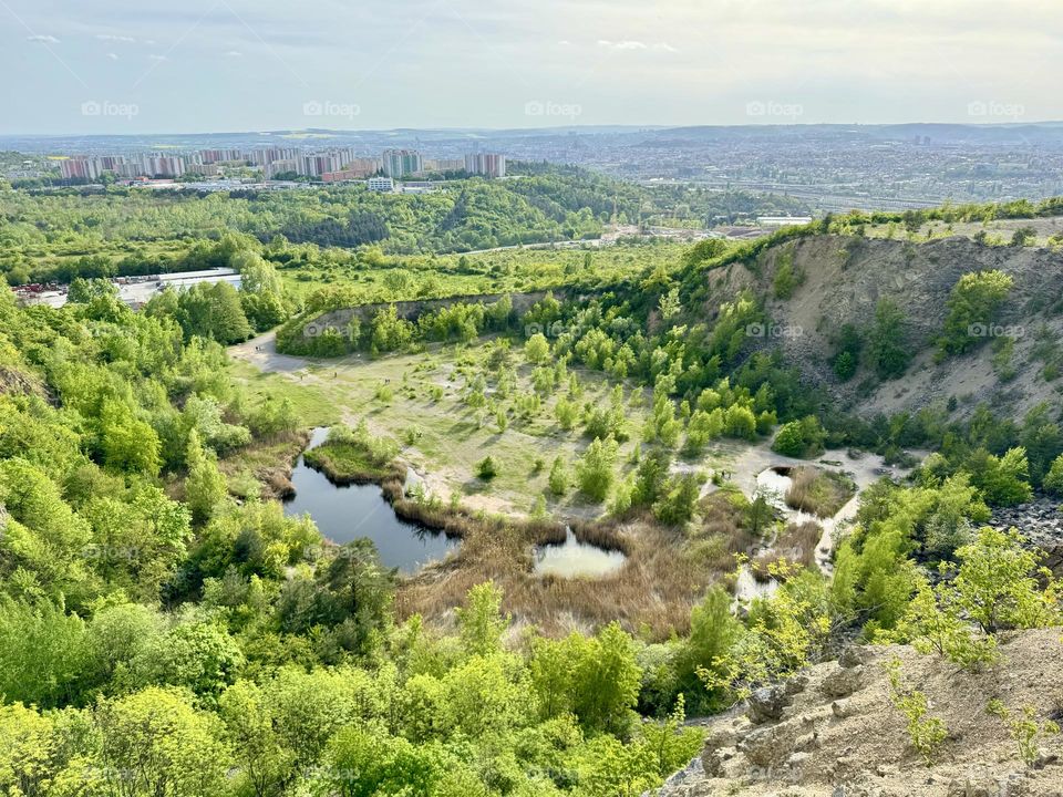 Beauties of Spring 🌿