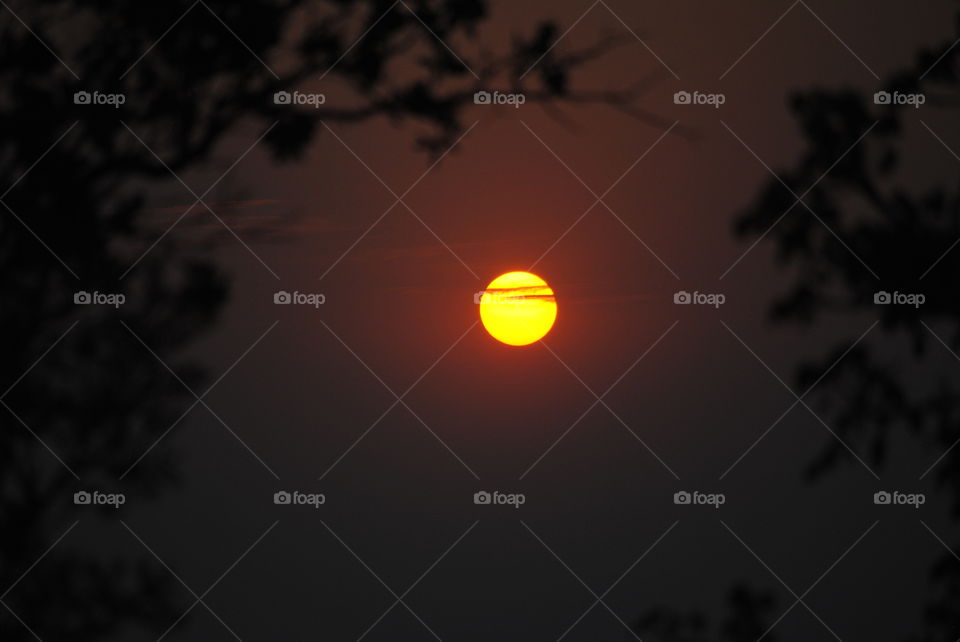 sun