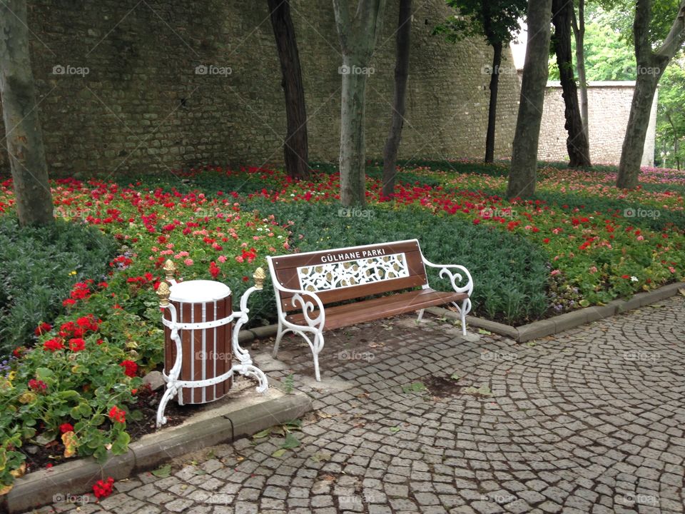 Garden, Flower, No Person, Bench, Seat