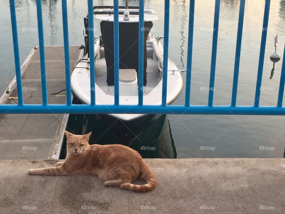 Waiting for today's catch