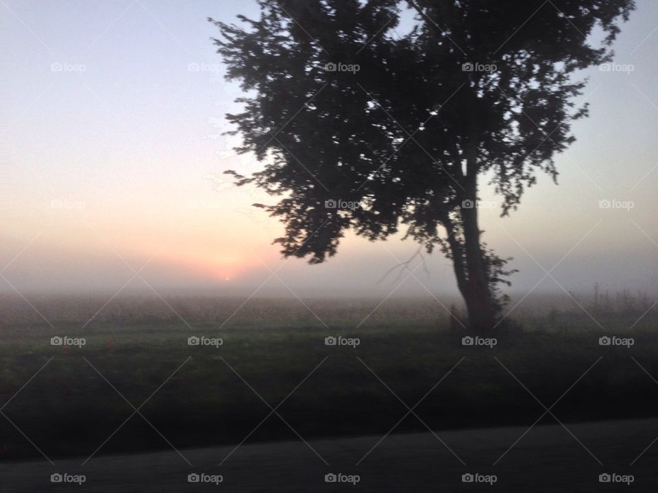 As the fog rolls in...