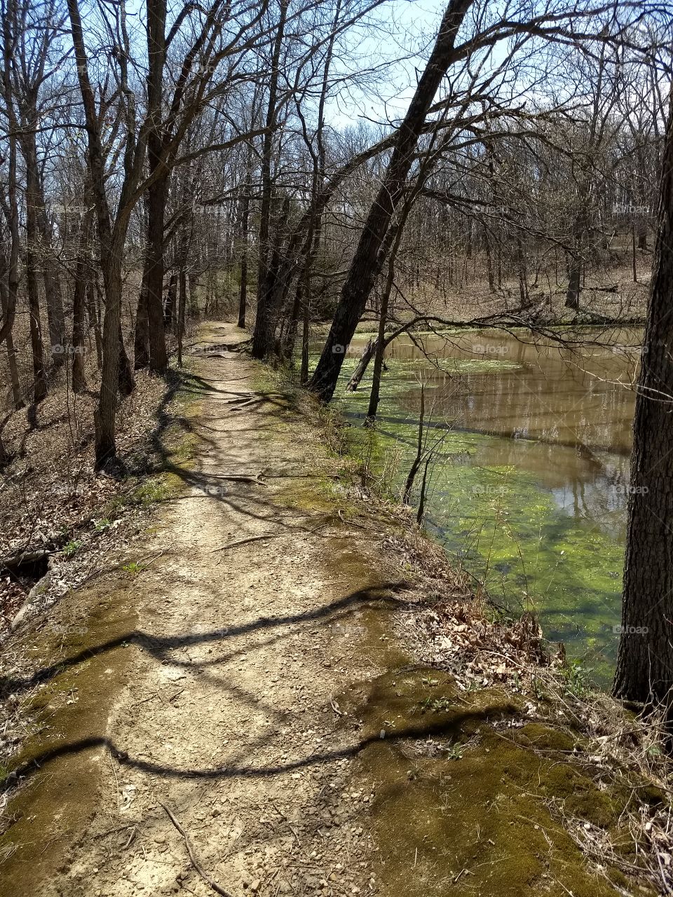 Path around the pond at Knob Noster State Park.