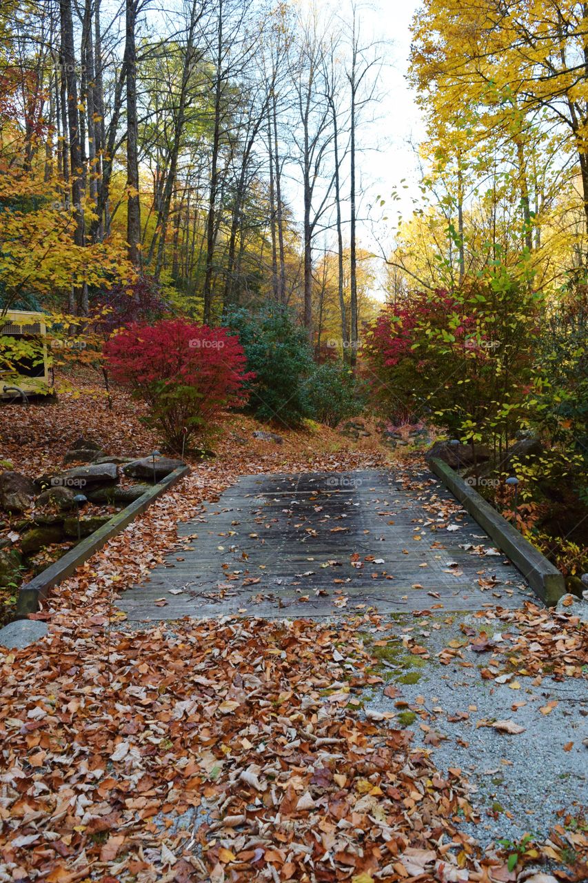 Hiking trail